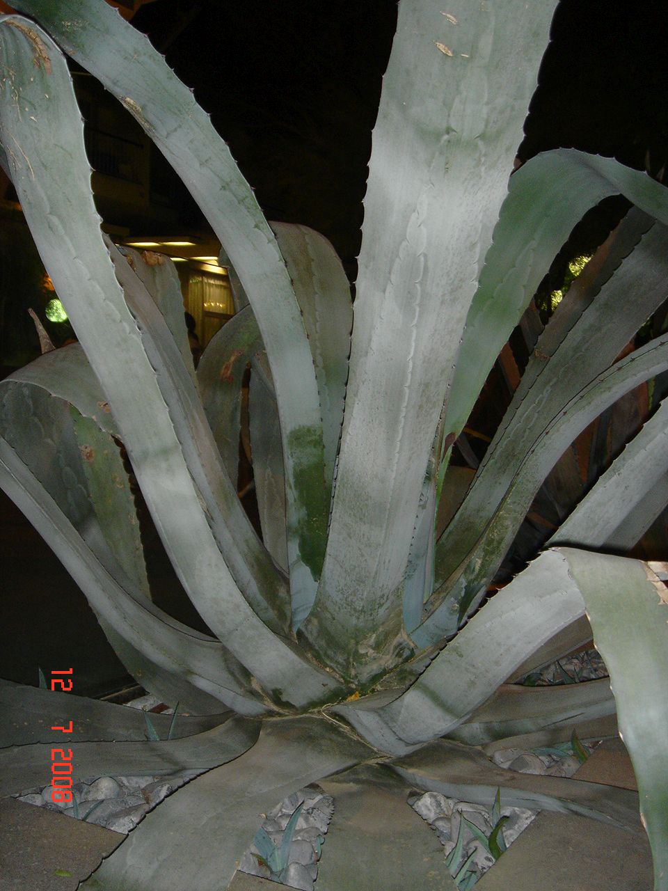 CattolicaHotelVictoriaPalace 004